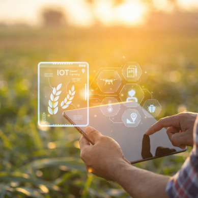 Smart farming in golden sunlight