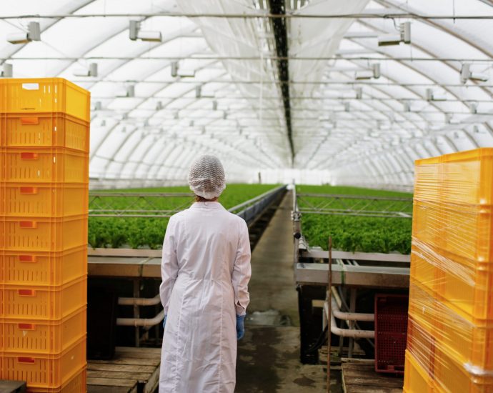scientist-researching-plants-diseases-greenhouse